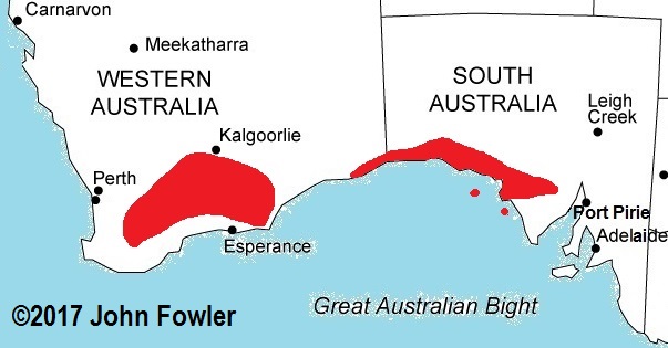 Approximate distribution of the Bight Crevice-skink (Egernia richardi) map